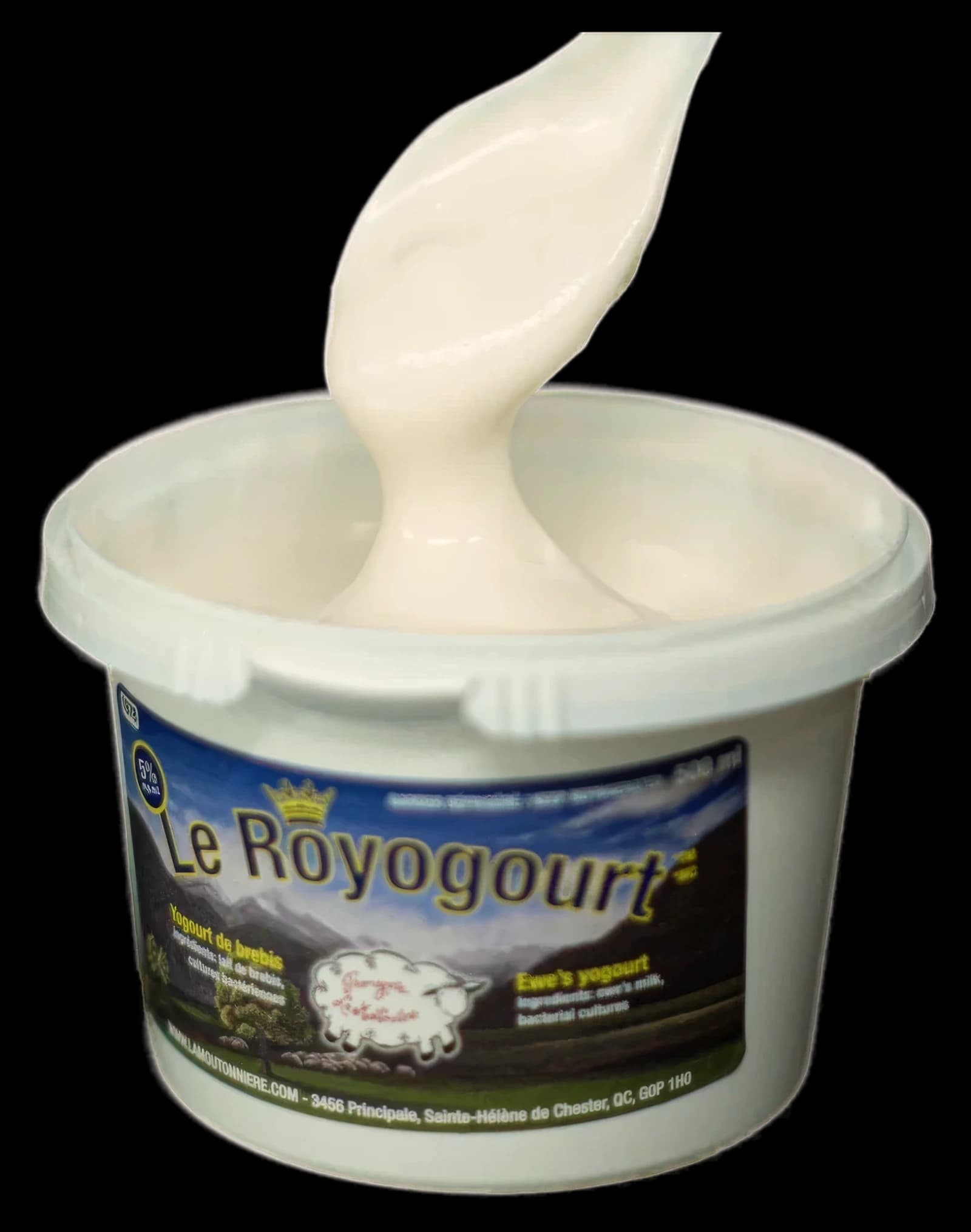 Pot de Royogourt de La Moutonnière et cuillerée de yogourt