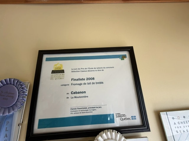 Caseus 2008 diploma, Cabanon finalist, photographed